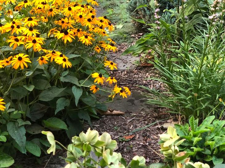 Native Plant Identification Walk: Learning about native plants with identification walks.